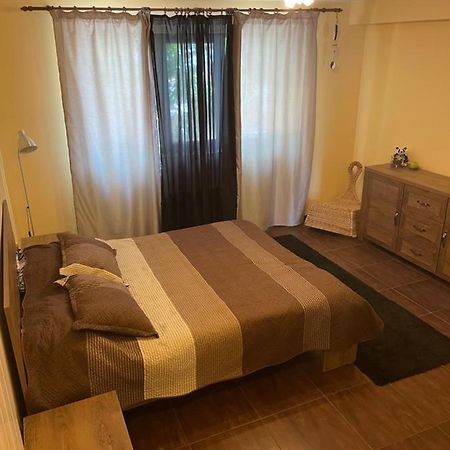 City Garden Escape Popesti-Leordeni Εξωτερικό φωτογραφία