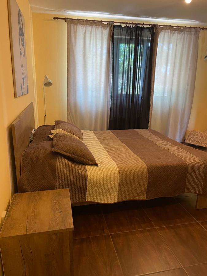 City Garden Escape Popesti-Leordeni Εξωτερικό φωτογραφία
